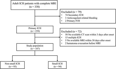 Higher Cerebral Small Vessel Disease Burden in Patients With Small Intracerebral Hemorrhage